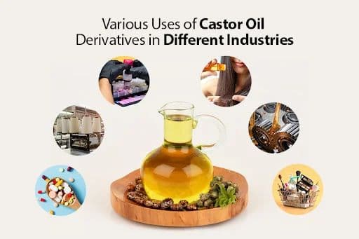 Premium Castor Oil and Derivatives Supply Chain